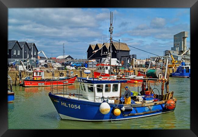 Catch of the Day at Whitstable Harbour Framed Print by Darren Galpin