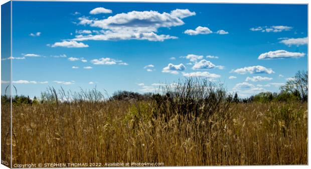 The Transcona Bioreserve, Winnipeg Canvas Print by STEPHEN THOMAS