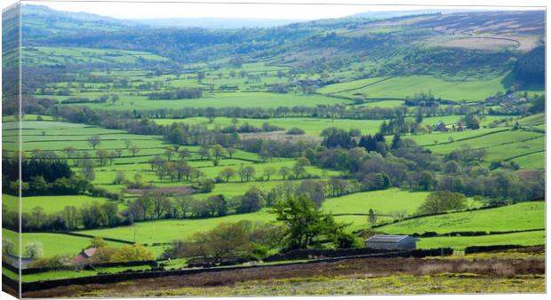 Outdoor fields Canvas Print by BARBARA RAW