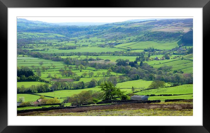 Outdoor fields Framed Mounted Print by BARBARA RAW