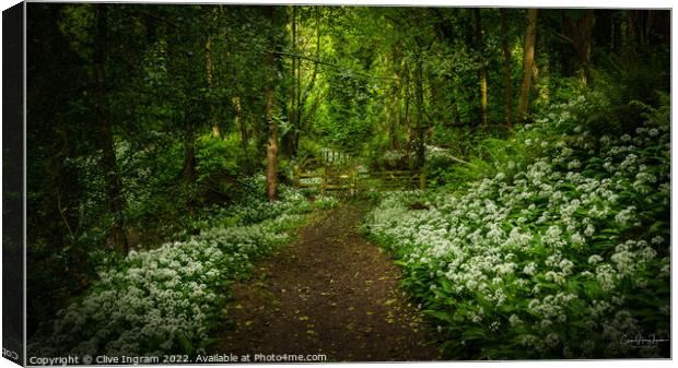 Tranquil Path of Abundant Wild Garlic Canvas Print by Clive Ingram