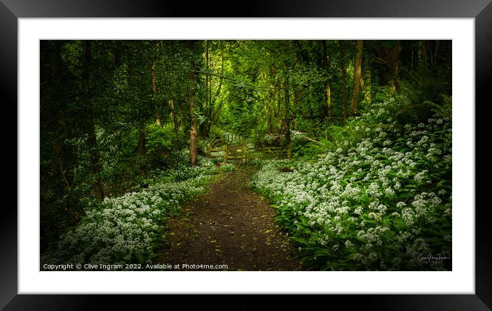 Tranquil Path of Abundant Wild Garlic Framed Mounted Print by Clive Ingram