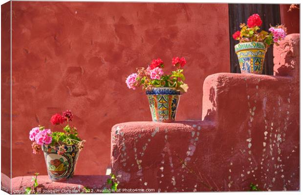 Beautiful vases decorated in a Mexican style, with flowers in th Canvas Print by Joaquin Corbalan