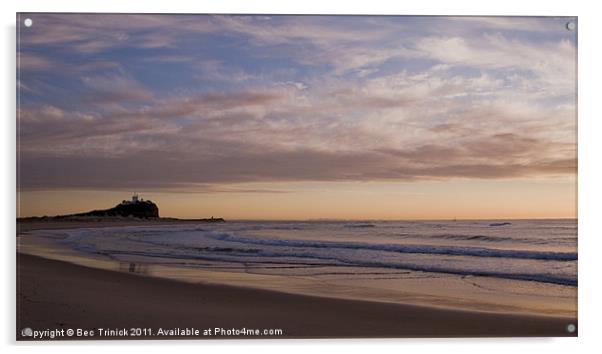Nobby's Beach dawning day Acrylic by Bec Trinick
