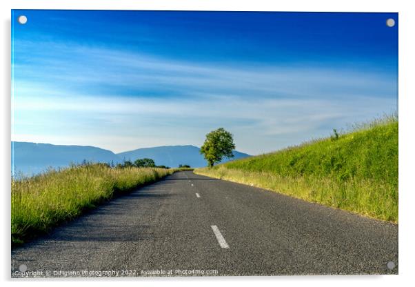 The Open Road Acrylic by DiFigiano Photography