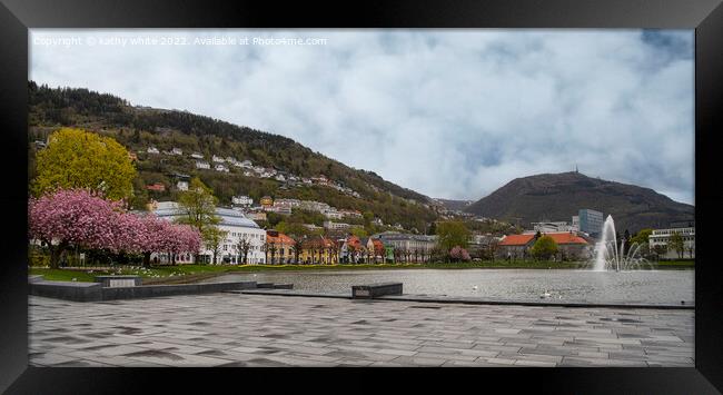 City pond Bergen Norway Framed Print by kathy white