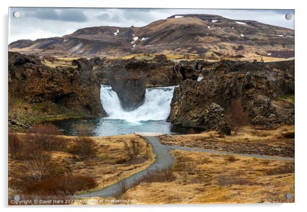 Hjalparfoss Waterfalls Acrylic by David Hare