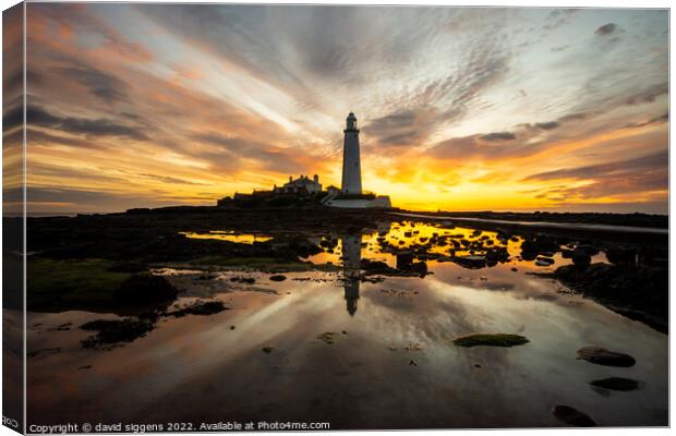 St Marys lighthouse sunrise 23rd may Canvas Print by david siggens