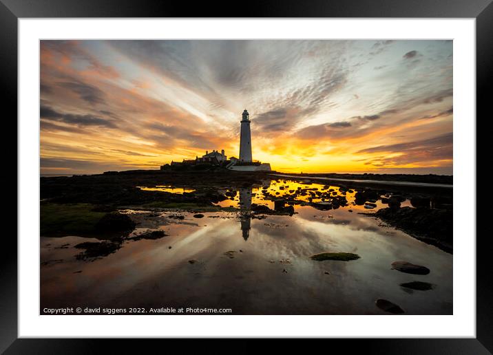 St Marys lighthouse sunrise 23rd may Framed Mounted Print by david siggens