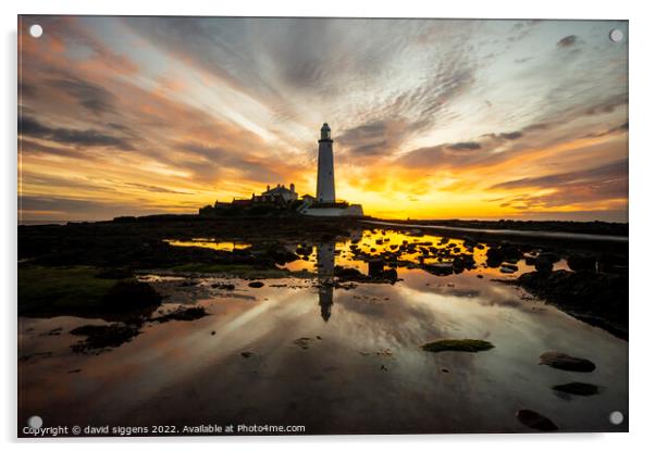 St Marys lighthouse sunrise 23rd may Acrylic by david siggens