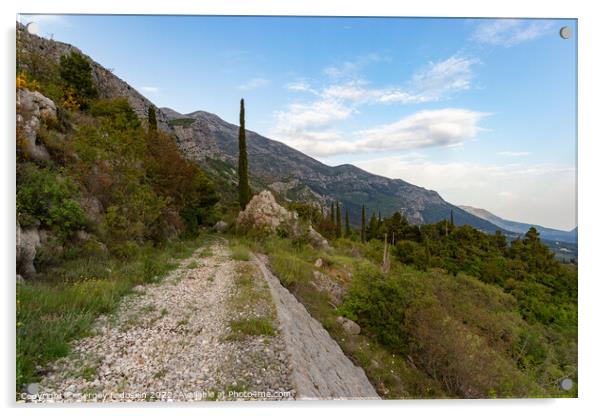 Mountain trail among green hills on a warm summer's day, Dalmatia region. Croatia. Acrylic by Sergey Fedoskin