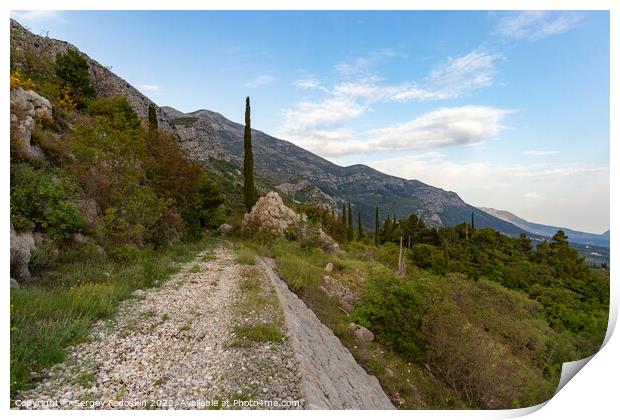 Mountain trail among green hills on a warm summer's day, Dalmatia region. Croatia. Print by Sergey Fedoskin