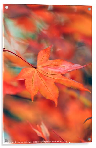 creative image of acer leaf Acrylic by Simon Johnson