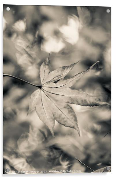 acer leaf in black and white Acrylic by Simon Johnson