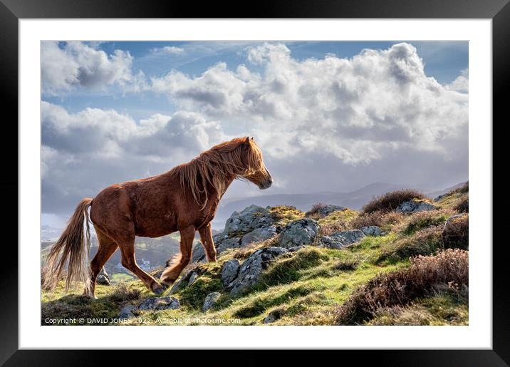 Conwy Cob Framed Mounted Print by DAVID JONES