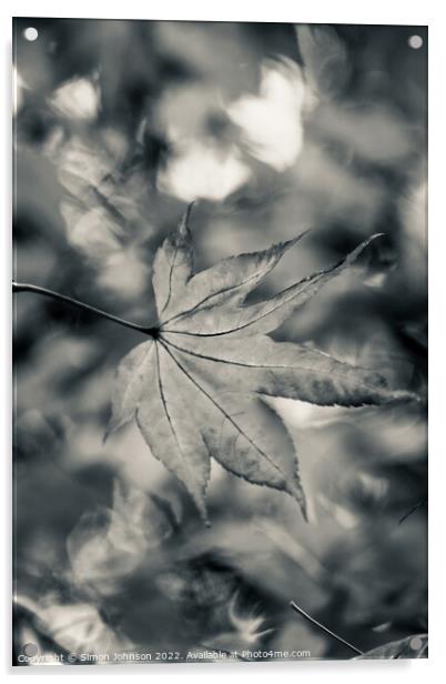 Acer leaf in black and white Acrylic by Simon Johnson