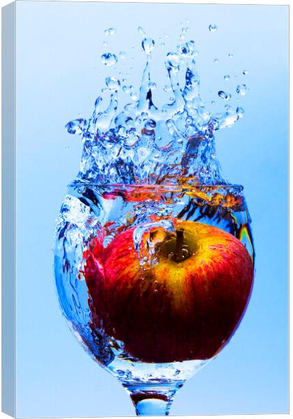 Cider Apple Splash Canvas Print by George de Putron