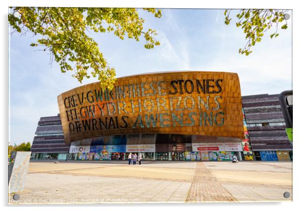 Wales Millennium Centre, Cardiff Acrylic by Dan Santillo