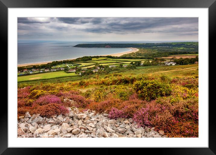 Oxwich Bay from Cefn Bryn, Gower Framed Mounted Print by Dan Santillo