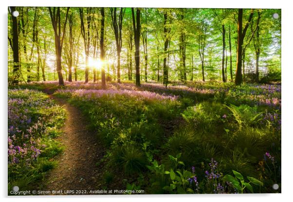 Dawn sunrise in bluebell forest in England Acrylic by Simon Bratt LRPS