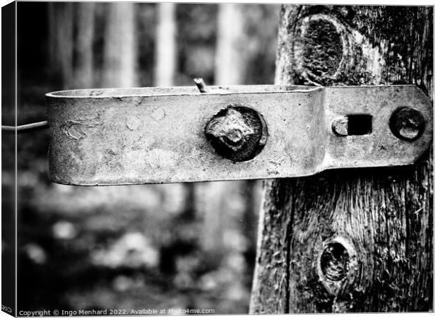 A grayscale closeup shot of a metal part attached to tree log Canvas Print by Ingo Menhard