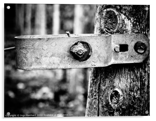 A grayscale closeup shot of a metal part attached to tree log Acrylic by Ingo Menhard