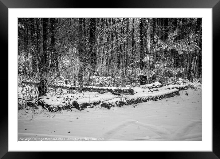 Grayscale shot of the big sawed trees on the snowy ground in the woods Framed Mounted Print by Ingo Menhard