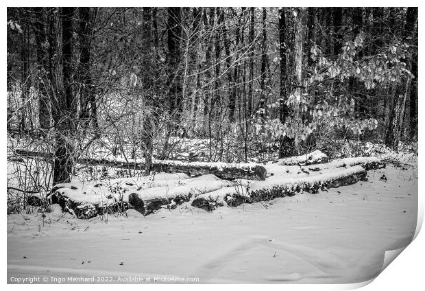 Grayscale shot of the big sawed trees on the snowy ground in the woods Print by Ingo Menhard