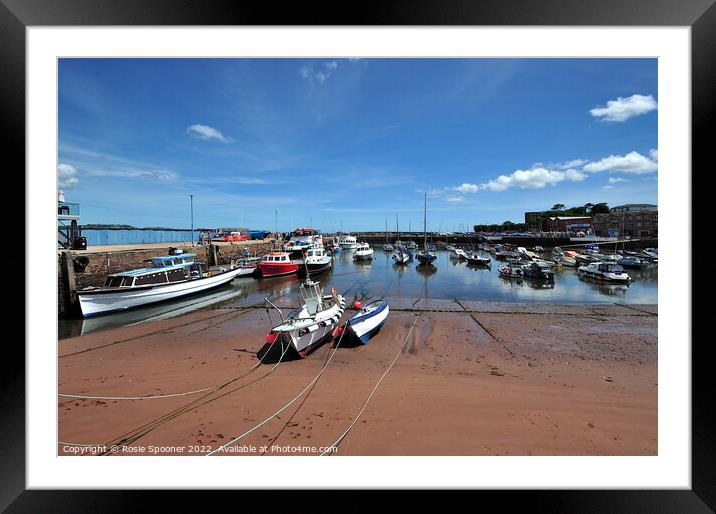 Paignton Harbour in South Devon Framed Mounted Print by Rosie Spooner