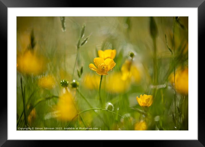 meadow flowers Framed Mounted Print by Simon Johnson