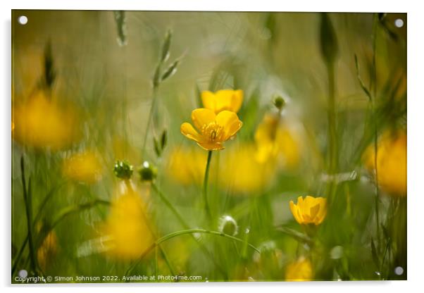meadow flowers Acrylic by Simon Johnson