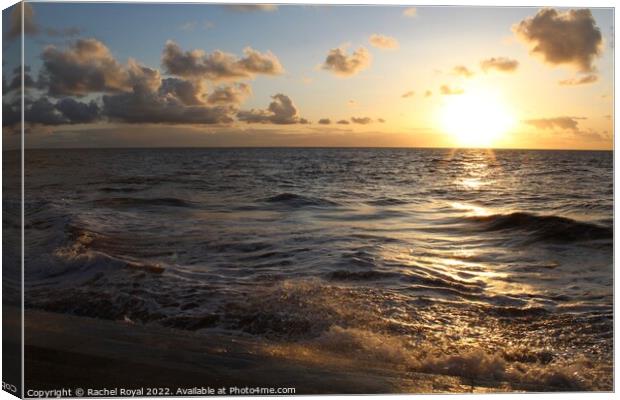 High tide sunset Canvas Print by Rachel Royal