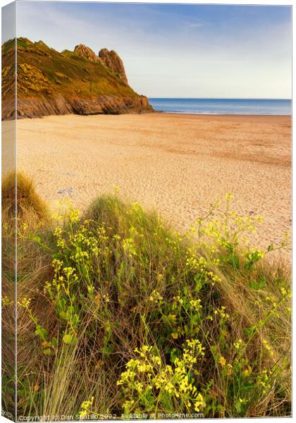 Tor Bay and Great Tor, Gower Canvas Print by Dan Santillo