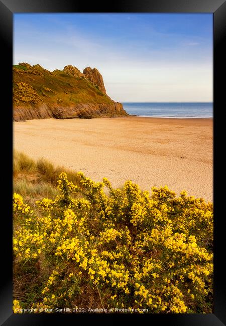 Tor Bay and Great Tor, Gower Framed Print by Dan Santillo