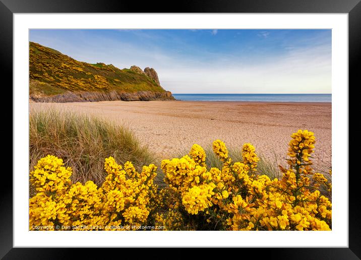 Tor Bay and Great Tor, Gower Framed Mounted Print by Dan Santillo