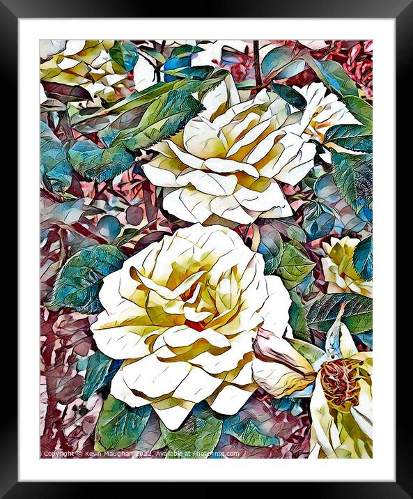 Cream Roses (Digital Art Water Coloured) Framed Mounted Print by Kevin Maughan