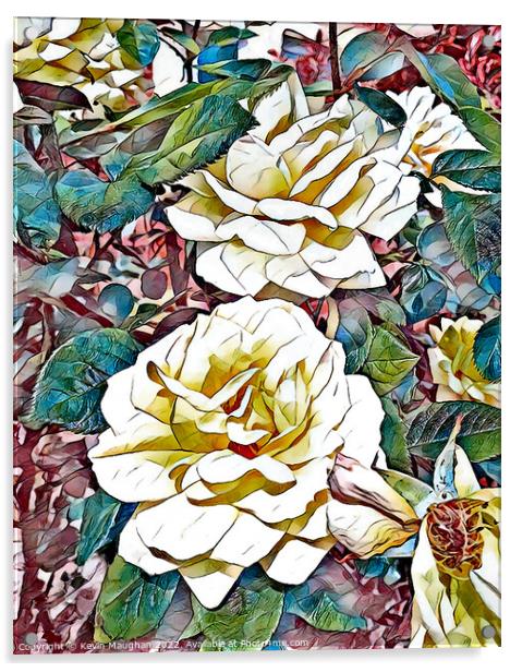 Cream Roses (Digital Art Water Coloured) Acrylic by Kevin Maughan