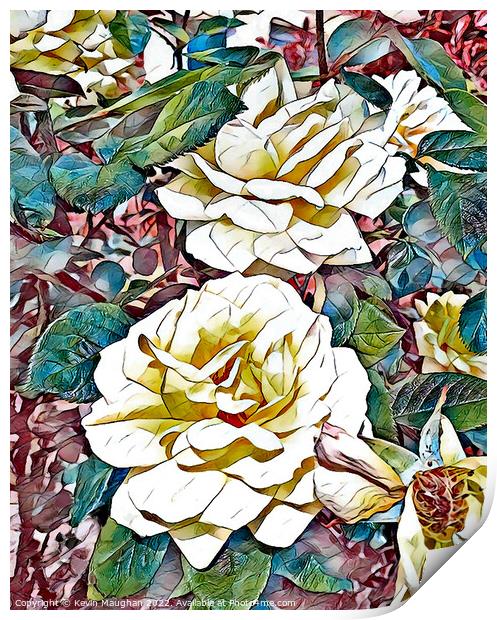 Cream Roses (Digital Art Water Coloured) Print by Kevin Maughan