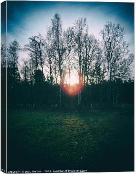 Sunrise in the middle of trees Canvas Print by Ingo Menhard