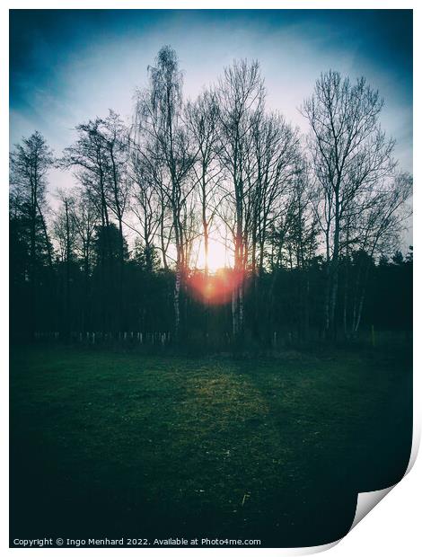 Sunrise in the middle of trees Print by Ingo Menhard