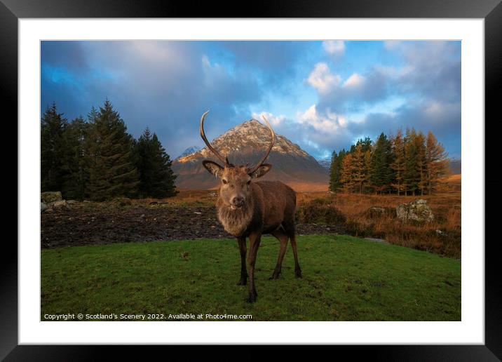 Glencoe, Highlands Scotland Framed Mounted Print by Scotland's Scenery