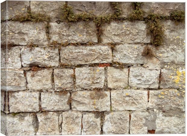 Texture of a weathered stone wall with dry grass Canvas Print by Ingo Menhard