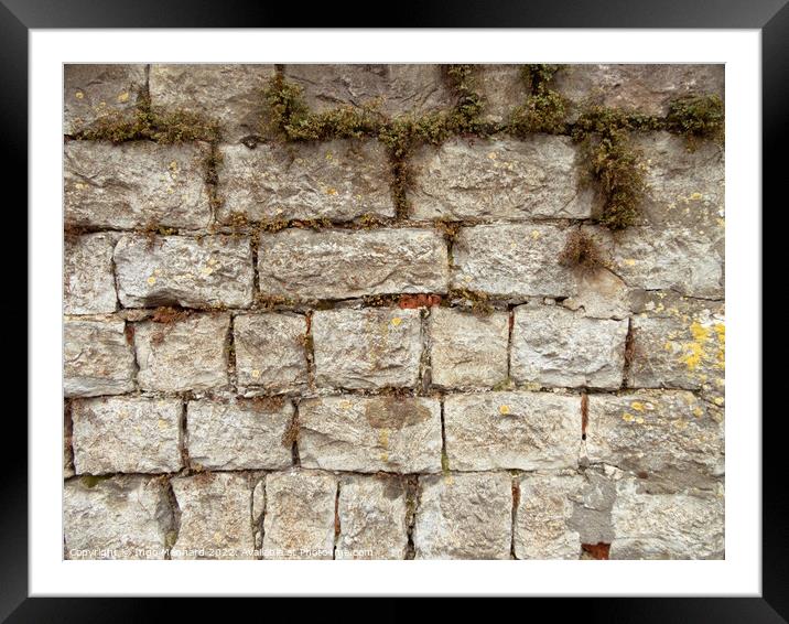 Texture of a weathered stone wall with dry grass Framed Mounted Print by Ingo Menhard