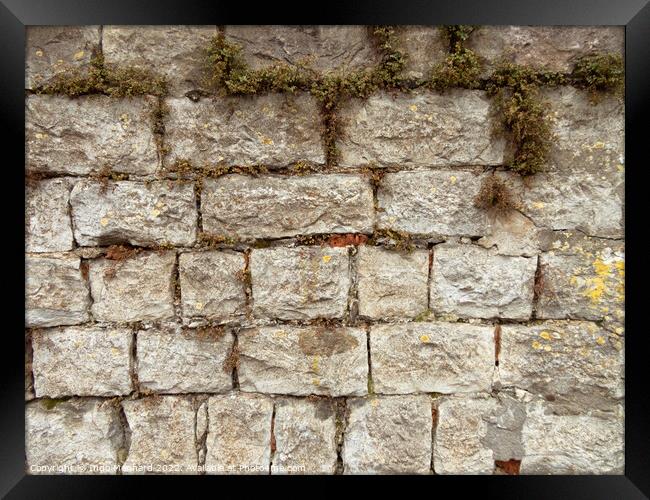 Texture of a weathered stone wall with dry grass Framed Print by Ingo Menhard