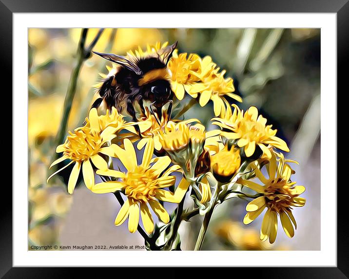 Bee On A Flower (Digital Art) Framed Mounted Print by Kevin Maughan