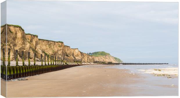 Sea defences at West Runton curve round the coast Canvas Print by Jason Wells