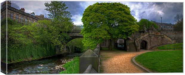 The Saunders Street Steps Canvas Print by Tom Gomez