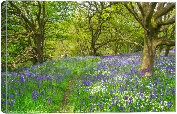 Path through the bluebells in the wood Canvas Print by Michael Shannon