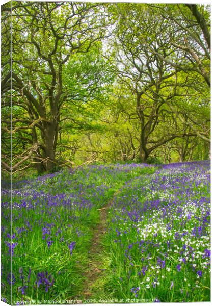 Springtime carpet of wild flowers (bluebells) in t Canvas Print by Michael Shannon