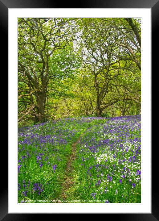 Springtime carpet of wild flowers (bluebells) in t Framed Mounted Print by Michael Shannon